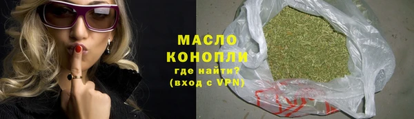 дживик Няндома