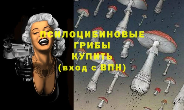 бошки Новокубанск
