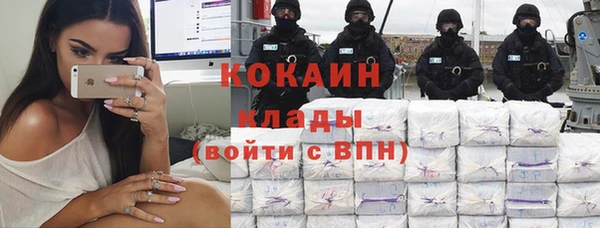 дмт Алексин